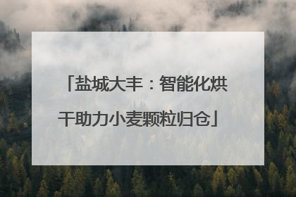 盐城大丰：智能化烘干助力小麦颗粒归仓