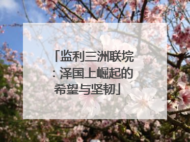 监利三洲联垸：泽国上崛起的希望与坚韧