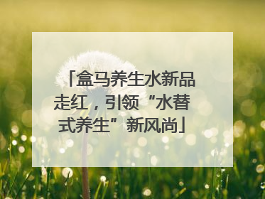 盒马养生水新品走红，引领“水替式养生”新风尚