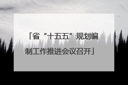 省“十五五”规划编制工作推进会议召开