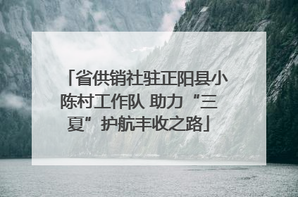 省供销社驻正阳县小陈村工作队 助力“三夏”护航丰收之路
