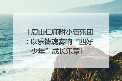 眉山仁师附小管乐团：以乐铸魂奏响“四好少年”成长乐章