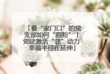 看“家门口”的党支部如何“圈粉”丨党建激活“邻”动力 幸福半径在延伸