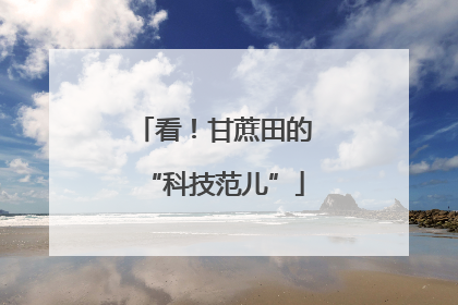 看！甘蔗田的“科技范儿”