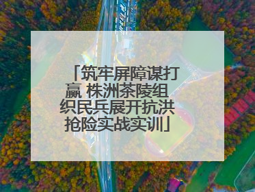 筑牢屏障谋打赢 株洲茶陵组织民兵展开抗洪抢险实战实训