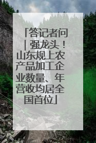 答记者问｜强龙头！山东规上农产品加工企业数量、年营收均居全国首位