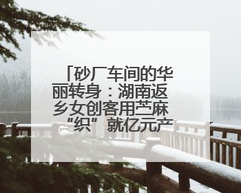 砂厂车间的华丽转身：湖南返乡女创客用苎麻“织”就亿元产业梦