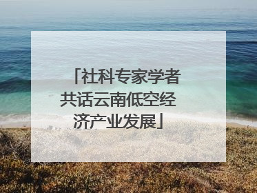 社科专家学者共话云南低空经济产业发展