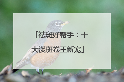 祛斑好帮手：十大淡斑卷王新宠