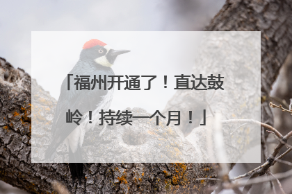 福州开通了！直达鼓岭！持续一个月！