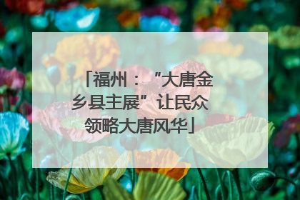 福州：“大唐金乡县主展”让民众领略大唐风华