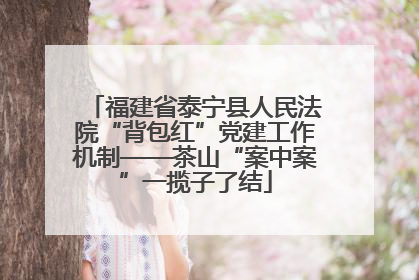福建省泰宁县人民法院“背包红”党建工作机制——茶山“案中案”一揽子了结