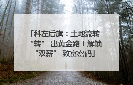 科左后旗：土地流转 “转” 出黄金路！解锁 “双薪” 致富密码