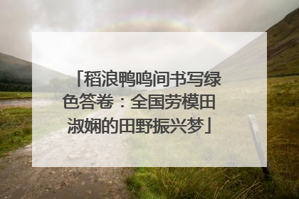 稻浪鸭鸣间书写绿色答卷：全国劳模田淑娴的田野振兴梦