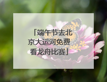 端午节去北京大运河免费看龙舟比赛
