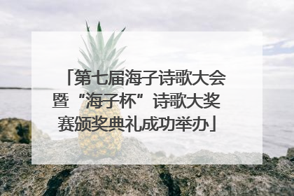 第七届海子诗歌大会暨“海子杯”诗歌大奖赛颁奖典礼成功举办