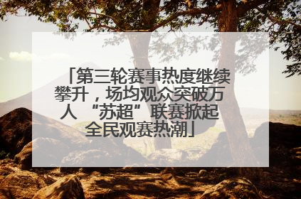 第三轮赛事热度继续攀升，场均观众突破万人 “苏超”联赛掀起全民观赛热潮