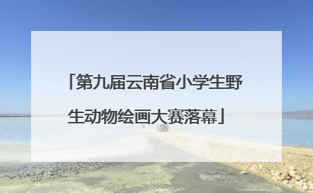 第九届云南省小学生野生动物绘画大赛落幕