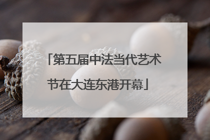 第五届中法当代艺术节在大连东港开幕