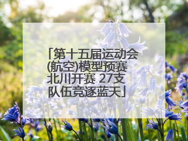 第十五届运动会(航空)模型预赛北川开赛 27支队伍竞逐蓝天