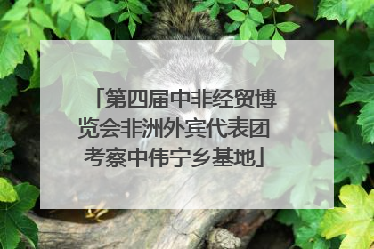 第四届中非经贸博览会非洲外宾代表团考察中伟宁乡基地