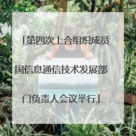第四次上合组织成员国信息通信技术发展部门负责人会议举行