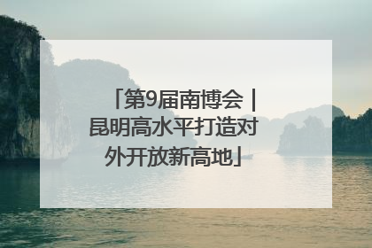 第9届南博会｜昆明高水平打造对外开放新高地