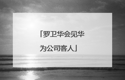罗卫华会见华为公司客人