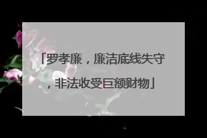 罗孝廉，廉洁底线失守，非法收受巨额财物