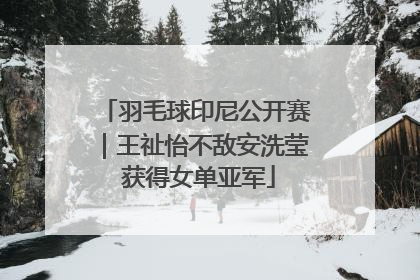 羽毛球印尼公开赛｜王祉怡不敌安洗莹 获得女单亚军