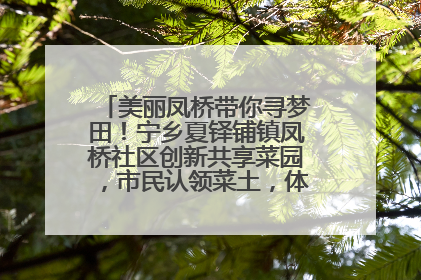 美丽凤桥带你寻梦田！宁乡夏铎铺镇凤桥社区创新共享菜园，市民认领菜土，体验耕种收获乐趣
