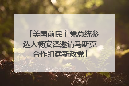 美国前民主党总统参选人杨安泽邀请马斯克合作组建新政党
