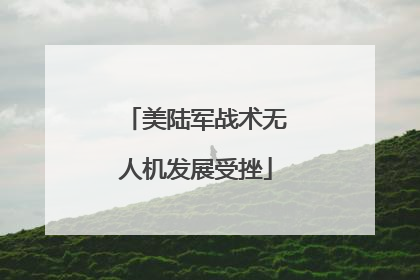 美陆军战术无人机发展受挫
