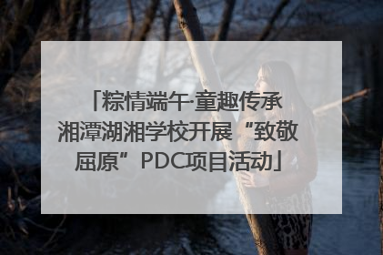 粽情端午·童趣传承 湘潭湖湘学校开展“致敬屈原”PDC项目活动