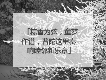 粽香为弦，童梦作谱，普陀这里奏响睦邻新乐章