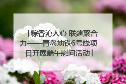 粽香沁人心 联建聚合力——青岛地铁6号线项目开展端午慰问活动