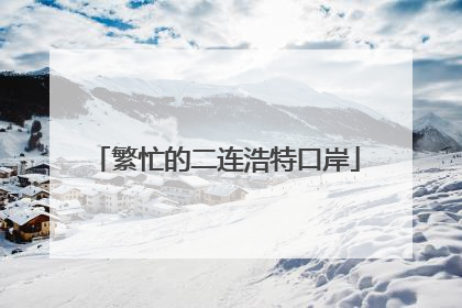 繁忙的二连浩特口岸