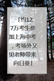 约12.7万考生参加上海中考，考场外又见老师带来向日葵