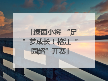 绿茵小将 “足”梦成长！榕江“园超”开赛