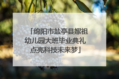 绵阳市盐亭县嫘祖幼儿园大班毕业典礼点亮科技未来梦