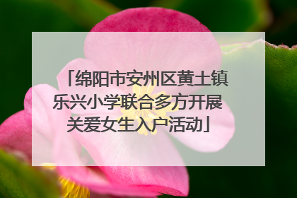 绵阳市安州区黄土镇乐兴小学联合多方开展关爱女生入户活动