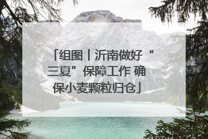 组图丨沂南做好“三夏”保障工作 确保小麦颗粒归仓