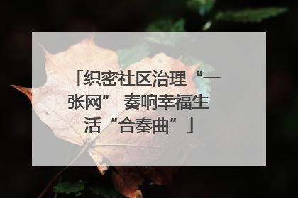织密社区治理“一张网” 奏响幸福生活“合奏曲”