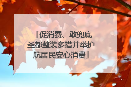 促消费、敢兜底 圣都整装多措并举护航居民安心消费
