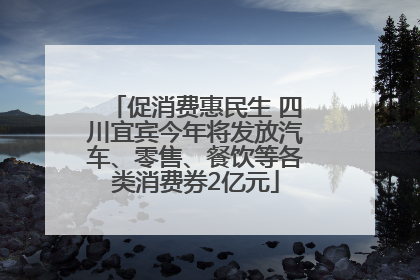 促消费惠民生 四川宜宾今年将发放汽车、零售、餐饮等各类消费券2亿元