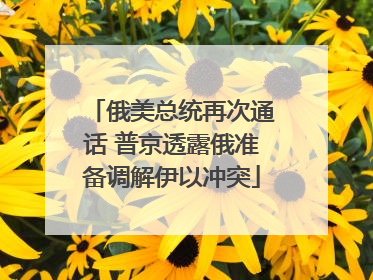 俄美总统再次通话 普京透露俄准备调解伊以冲突