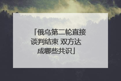 俄乌第二轮直接谈判结束 双方达成哪些共识