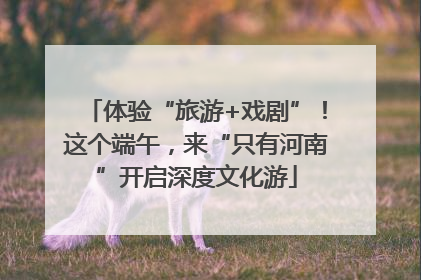 体验“旅游+戏剧”！这个端午，来“只有河南”开启深度文化游