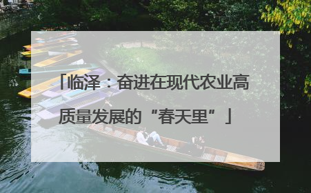 临泽：奋进在现代农业高质量发展的“春天里”