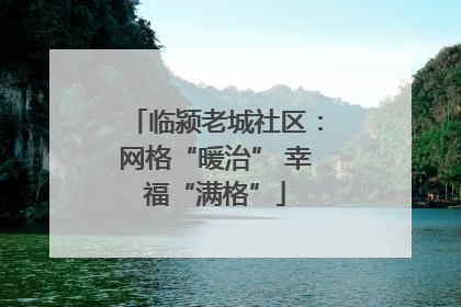 临颍老城社区：网格“暖治” 幸福“满格”